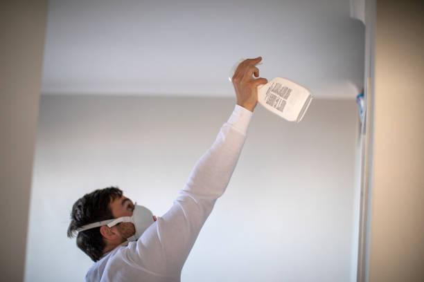 Best Local Mold Removal Service  in Worthgton, IN